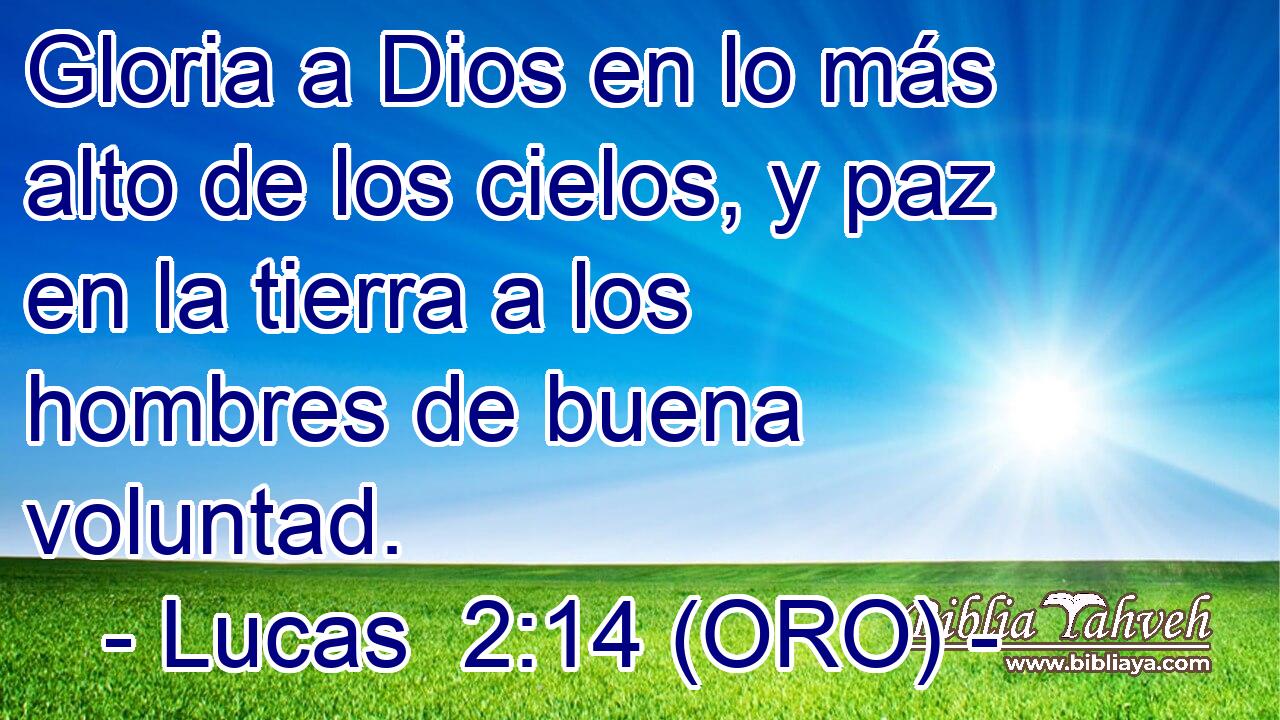  Gloria a Dios en lo más alto de los cielos, y paz en la tierra a los hombres de buena voluntad. 