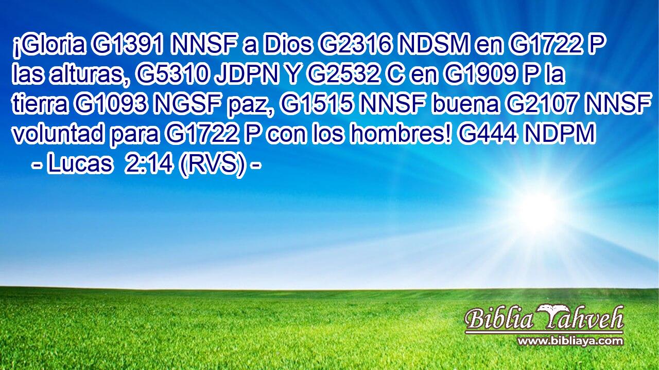 ¡Gloria G1391 NNSF a Dios G2316 NDSM en G1722 P las alturas, G5310 JDPN Y G2532 C en G1909 P la tierra G1093 NGSF paz, G1515 NNSF buena G2107 NNSF voluntad para G1722 P con los hombres! G444 NDPM 