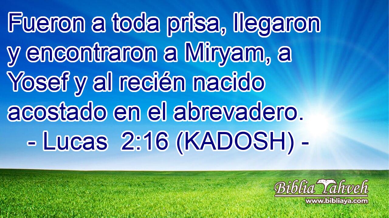  Fueron a toda prisa, llegaron y encontraron a Miryam, a Yosef y al recién nacido acostado en el abrevadero. 