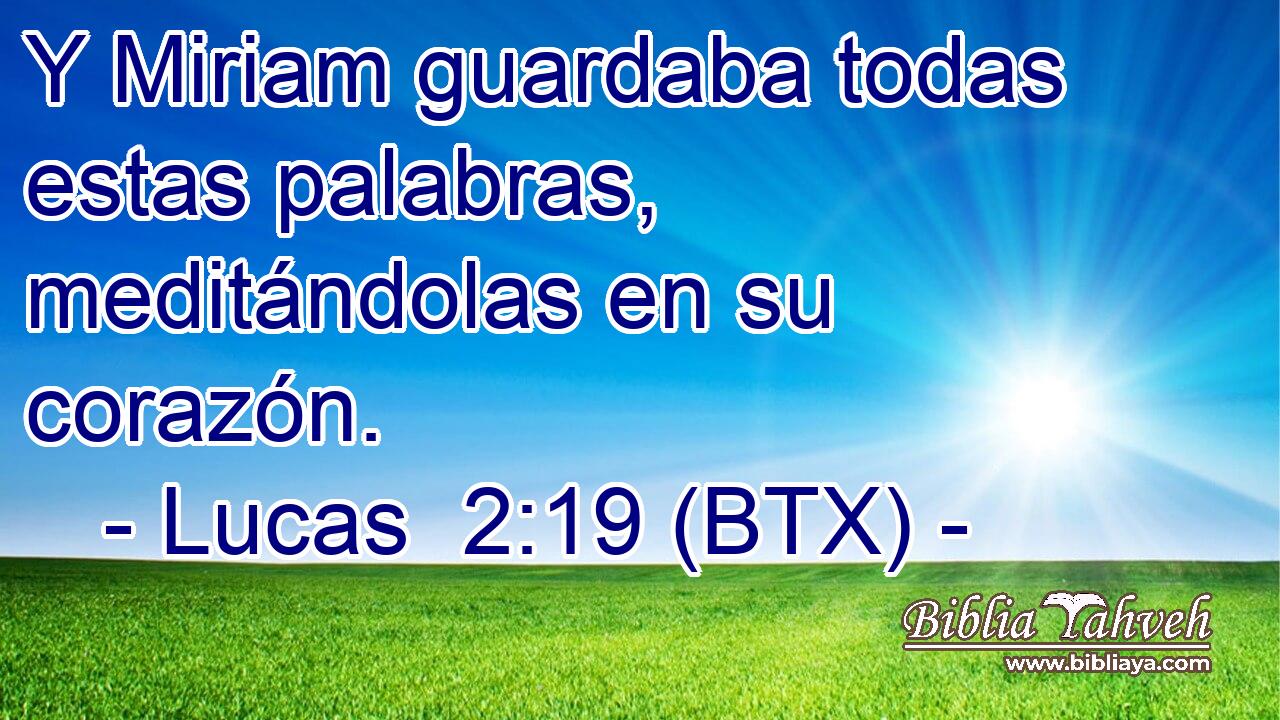 Y Miriam guardaba todas estas palabras, meditándolas en su corazón.
