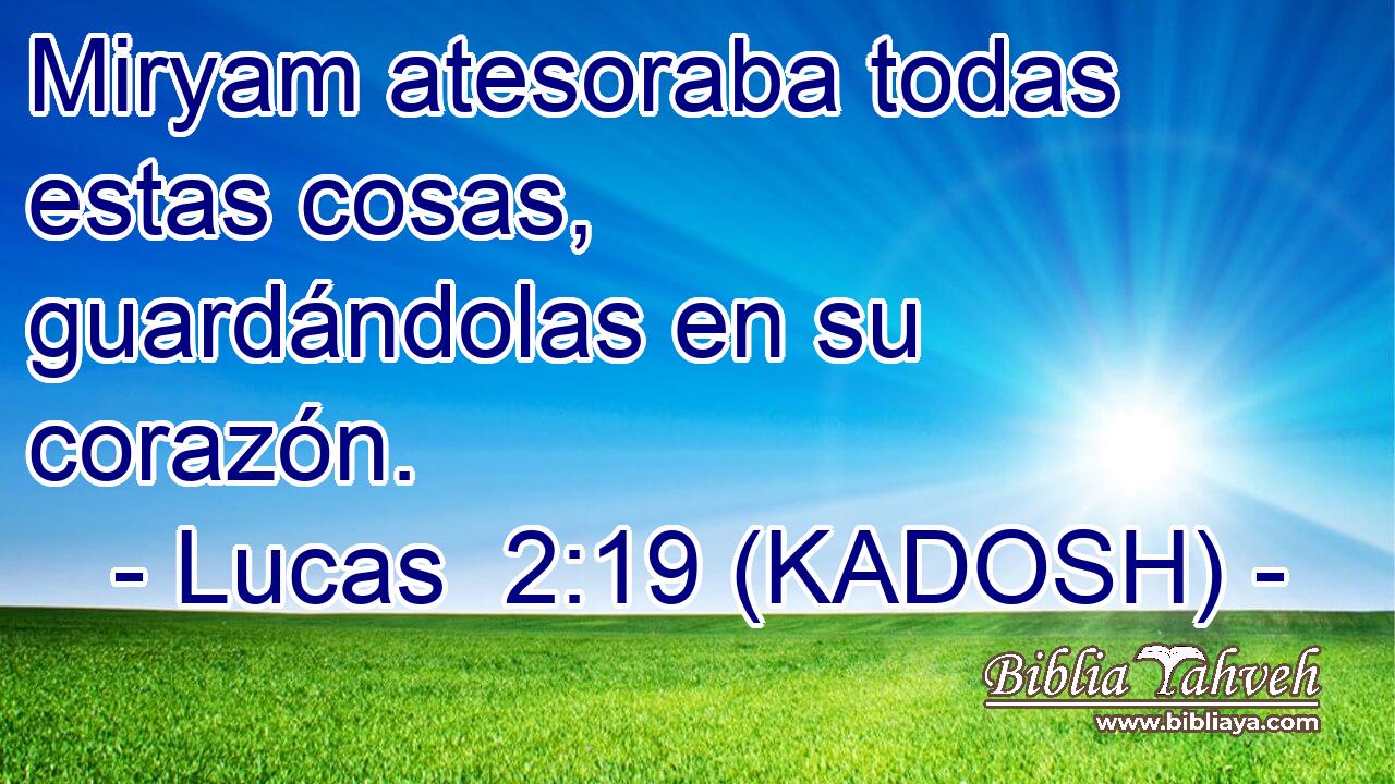  Miryam atesoraba todas estas cosas, guardándolas en su corazón. 