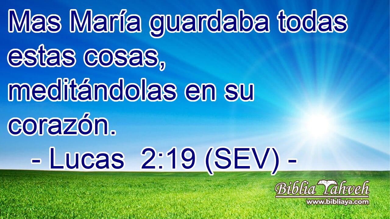 Mas María guardaba todas estas cosas, meditándolas en su corazón.