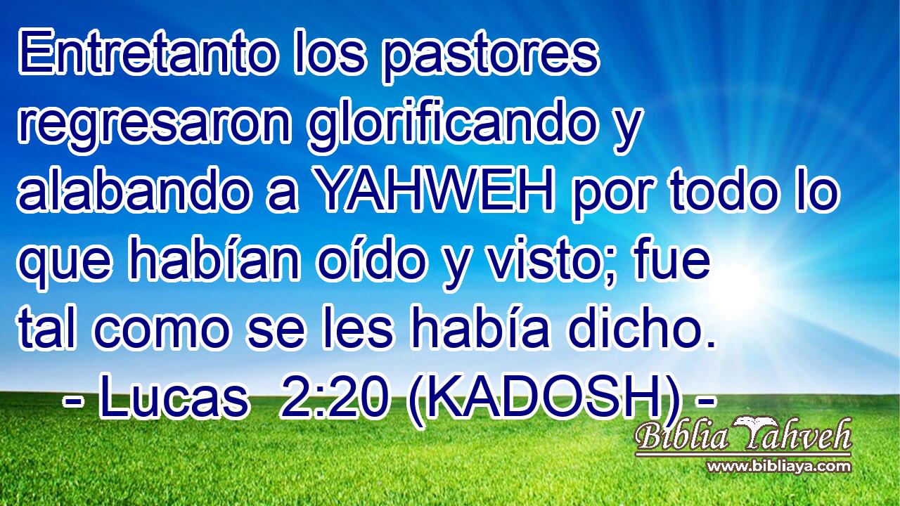  Entretanto los pastores regresaron glorificando y alabando a YAHWEH por todo lo que habían oído y visto; fue tal como se les había dicho. 