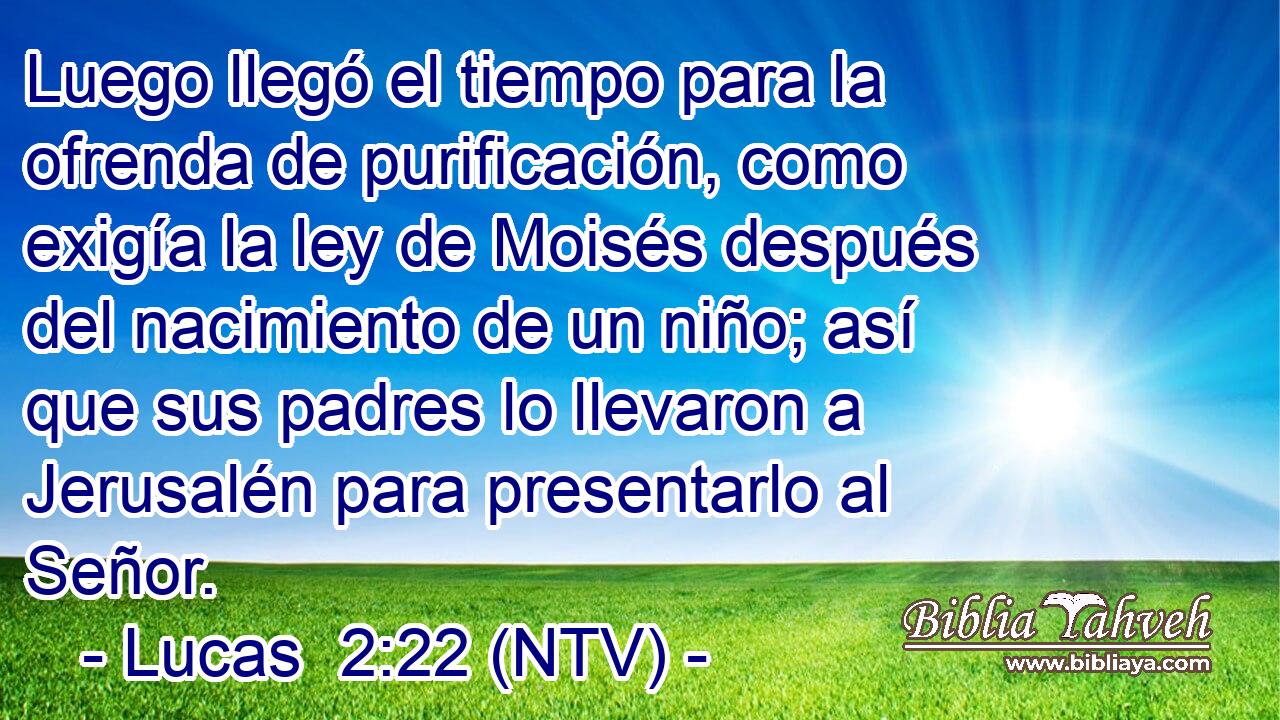 Luego llegó el tiempo para la ofrenda de purificación, como exigía la ley de Moisés después del nacimiento de un niño; así que sus padres lo llevaron a Jerusalén para presentarlo al Señor.
