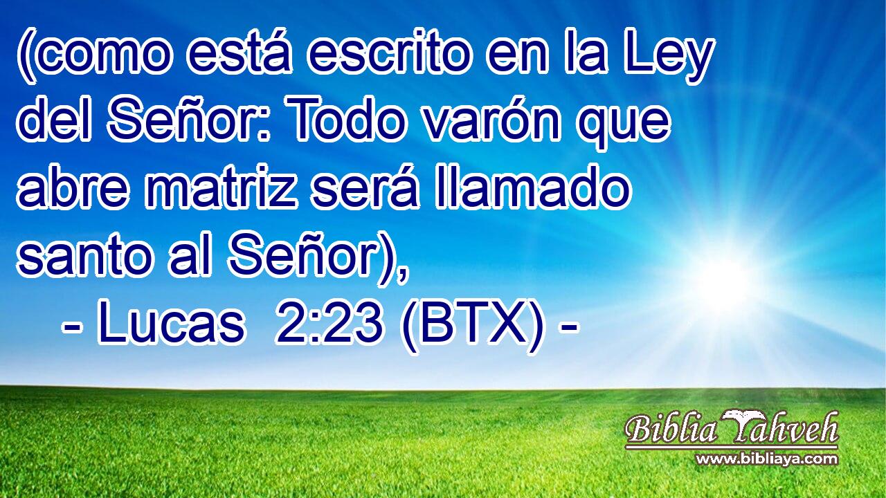 (como está escrito en la Ley del Señor: Todo varón que abre matriz será llamado santo al Señor),