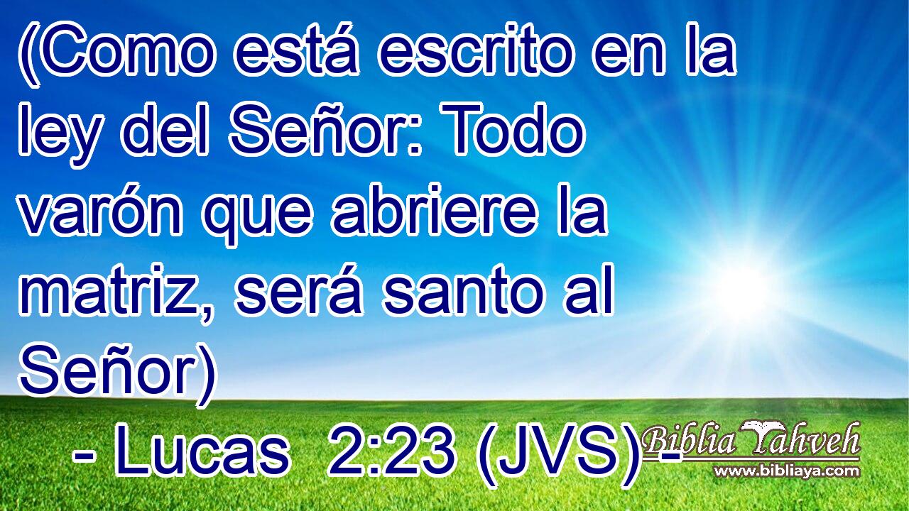 (Como está escrito en la ley del Señor: Todo varón que abriere la matriz, será santo al Señor)