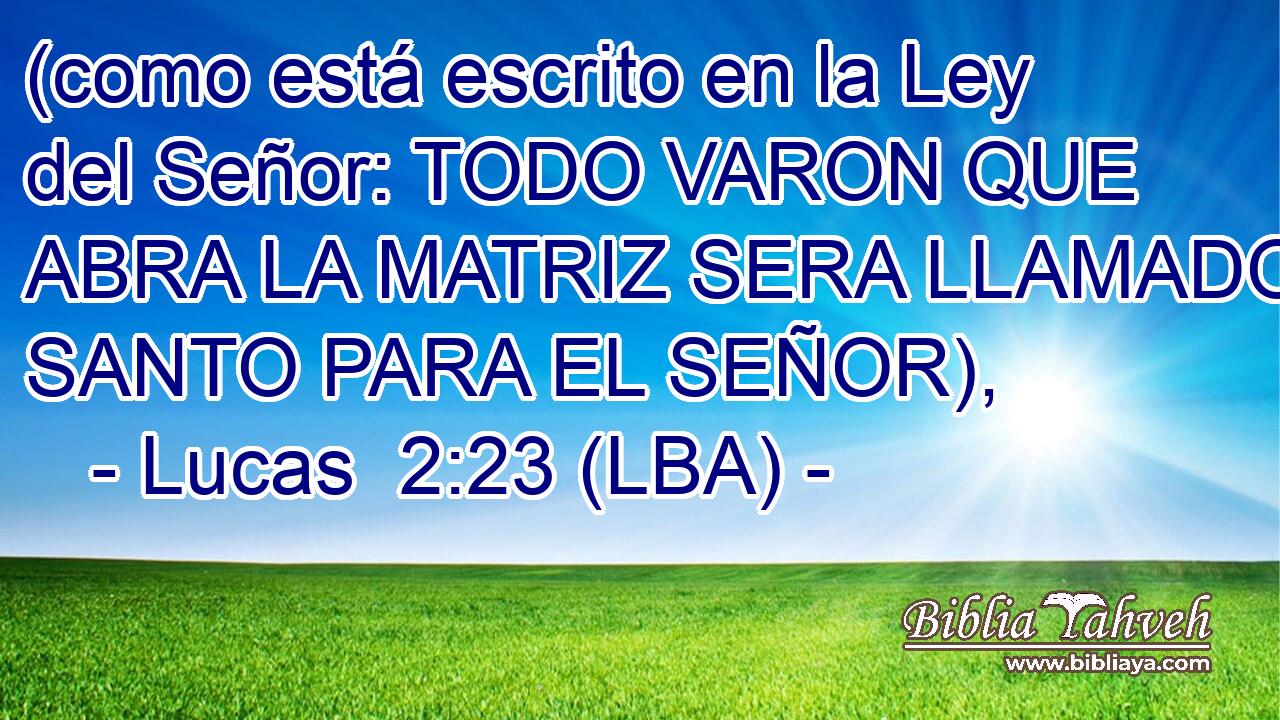 (como está escrito en la Ley del Señor: TODO VARON QUE ABRA LA MATRIZ SERA LLAMADO SANTO PARA EL SEÑOR),