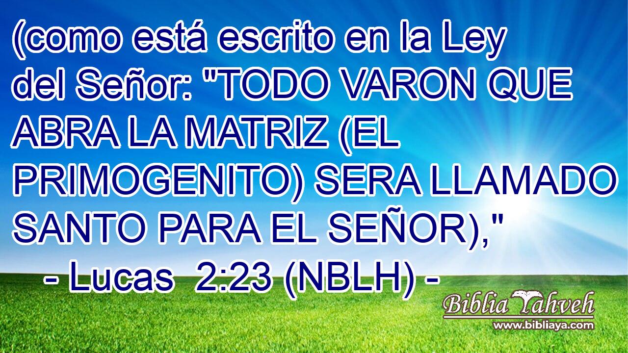  (como está escrito en la Ley del Señor: 