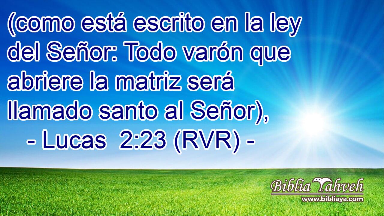 (como está escrito en la ley del Señor: Todo varón que abriere la matriz será llamado santo al Señor),