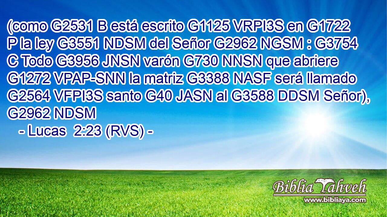 (como G2531 B está escrito G1125 VRPI3S en G1722 P la ley G3551 NDSM del Señor G2962 NGSM : G3754 C Todo G3956 JNSN varón G730 NNSN que abriere G1272 VPAP-SNN la matriz G3388 NASF será llamado G2564 VFPI3S santo G40 JASN al G3588 DDSM Señor), G2962 NDSM 