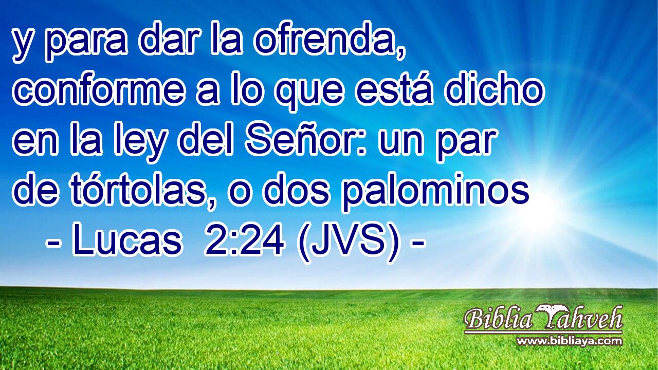 y para dar la ofrenda, conforme a lo que está dicho en la ley del Señor: un par de tórtolas, o dos palominos