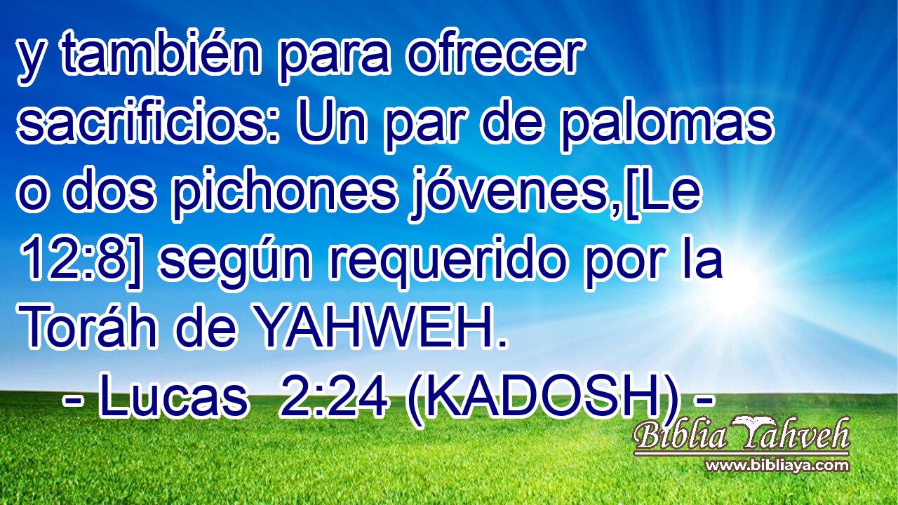  y también para ofrecer sacrificios: Un par de palomas o dos pichones jóvenes,[Le 12:8] según requerido por la Toráh de YAHWEH. 