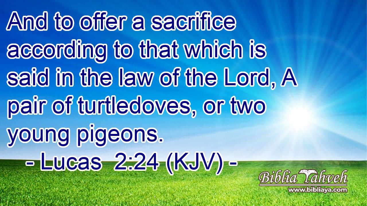 And to offer a sacrifice according to that which is said in the law of the Lord, A pair of turtledoves, or two young pigeons.