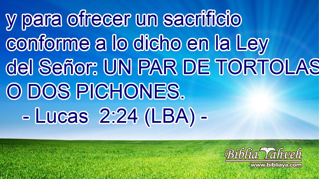 y para ofrecer un sacrificio conforme a lo dicho en la Ley del Señor: UN PAR DE TORTOLAS O DOS PICHONES.