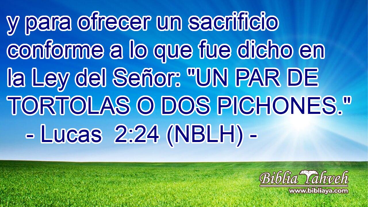  y para ofrecer un sacrificio conforme a lo que fue dicho en la Ley del Señor: 