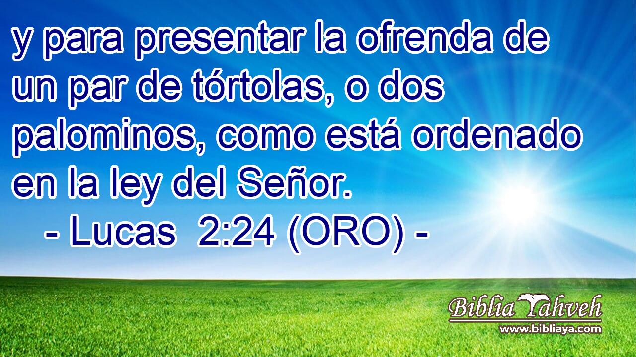  y para presentar la ofrenda de un par de tórtolas, o dos palominos, como está ordenado en la ley del Señor. 