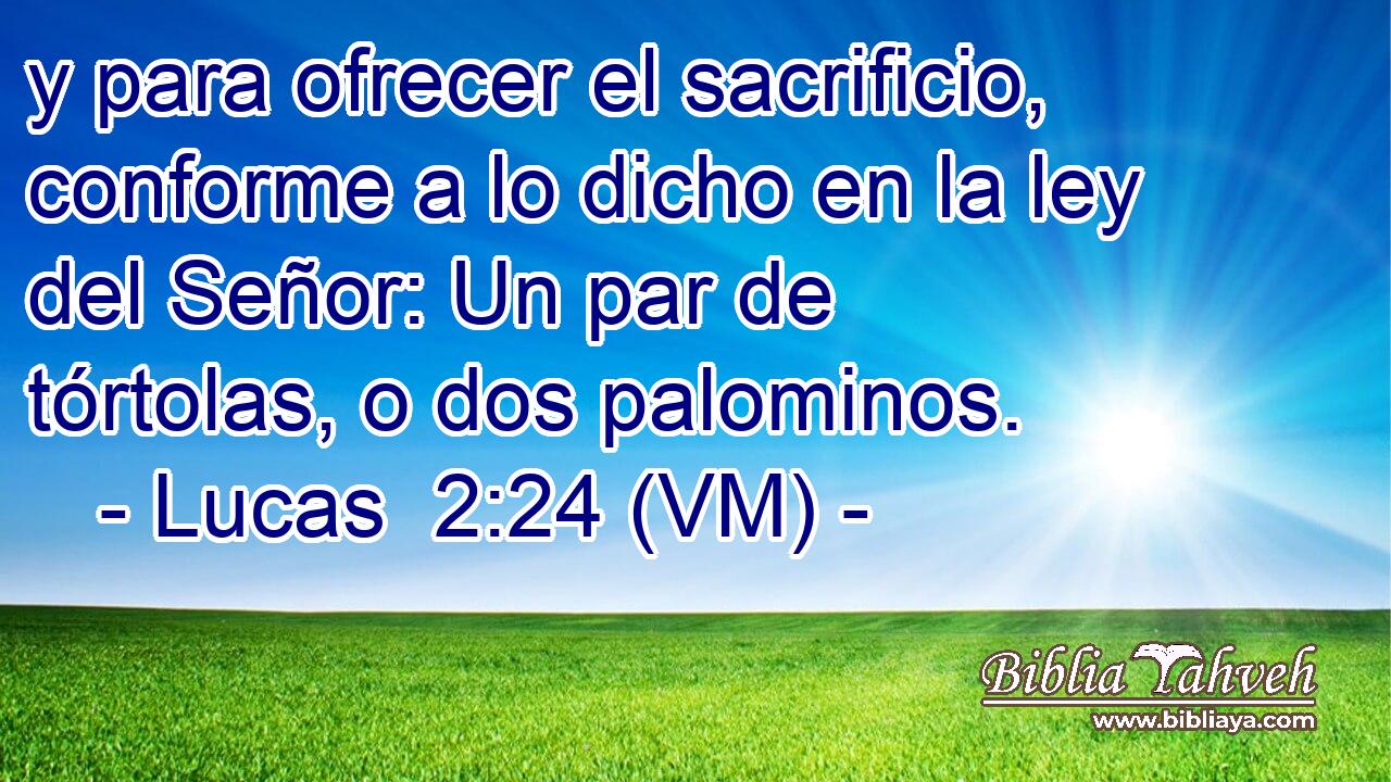  y para ofrecer el sacrificio, conforme a lo dicho en la ley del Señor: Un par de tórtolas, o dos palominos. 