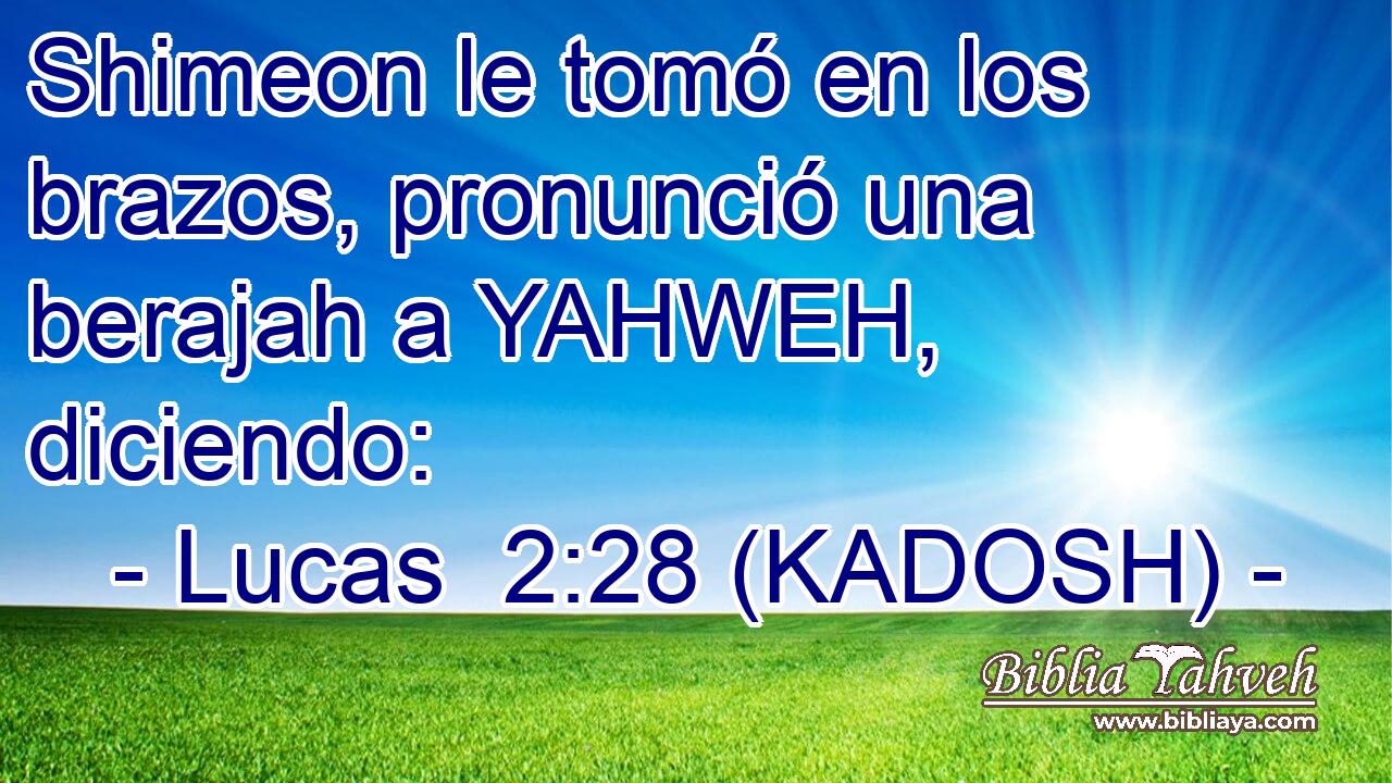  Shimeon le tomó en los brazos, pronunció una berajah a YAHWEH, diciendo: 