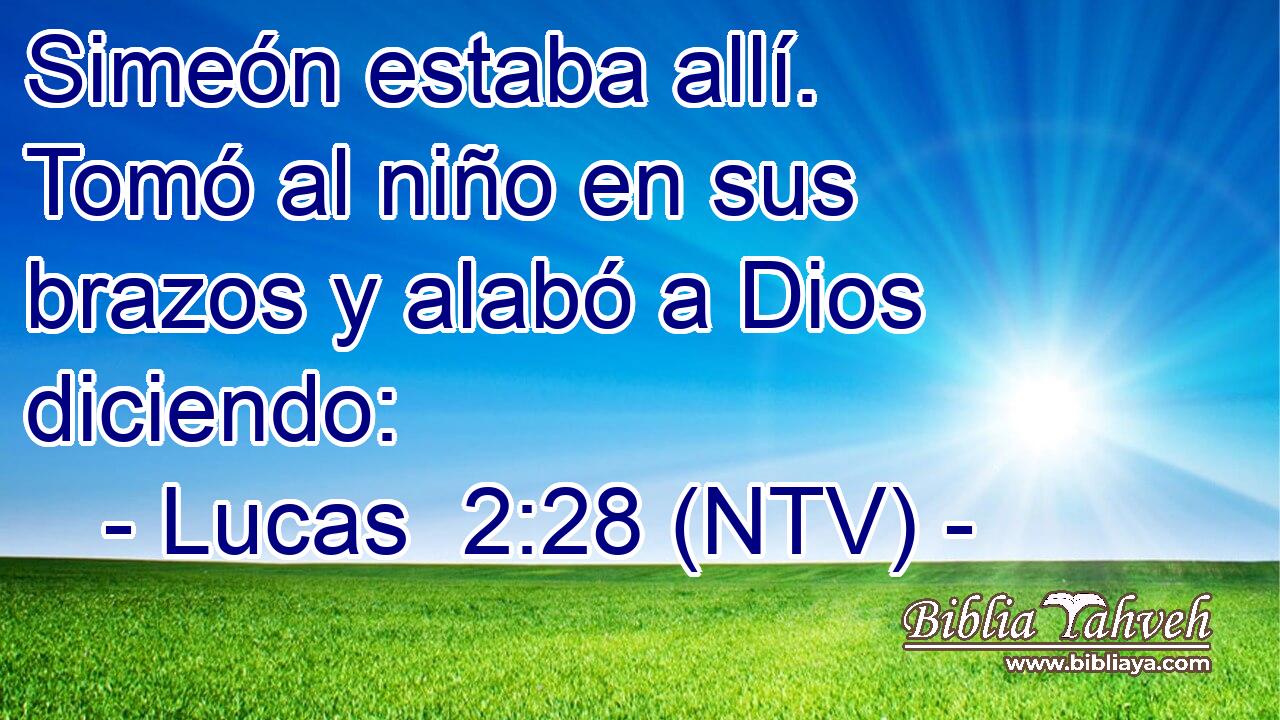 Simeón estaba allí. Tomó al niño en sus brazos y alabó a Dios diciendo:
