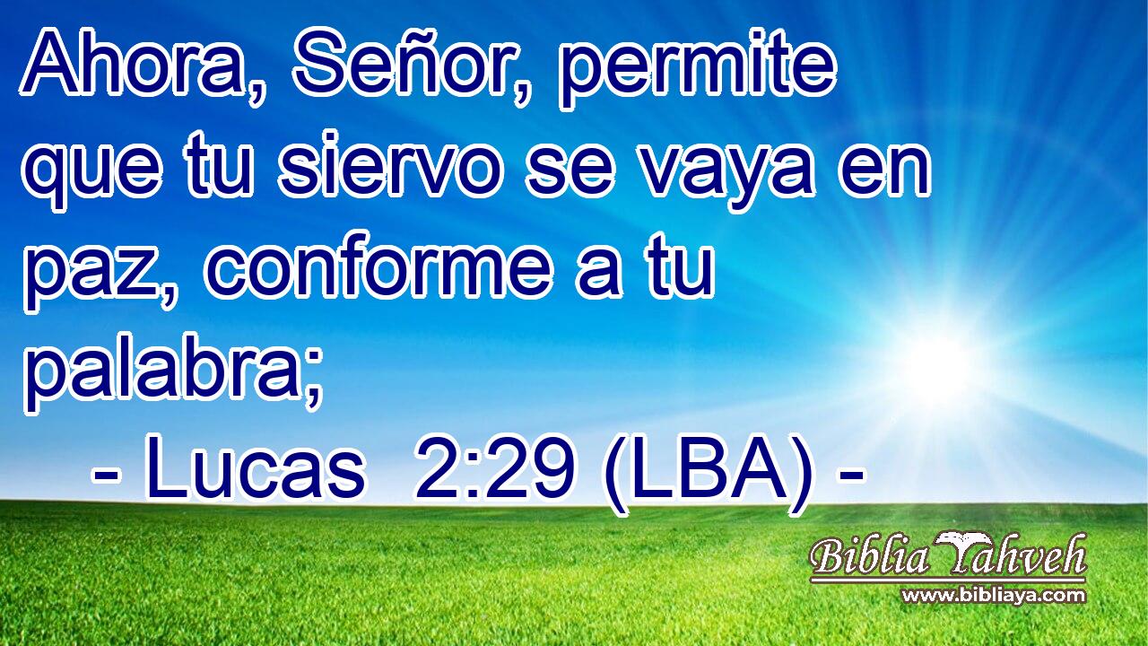 Ahora, Señor, permite que tu siervo se vaya en paz, conforme a tu palabra;