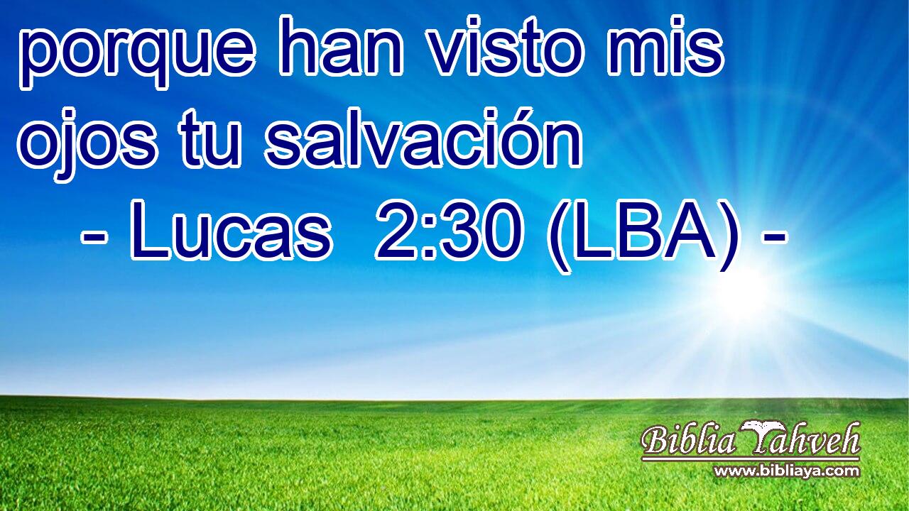 porque han visto mis ojos tu salvación