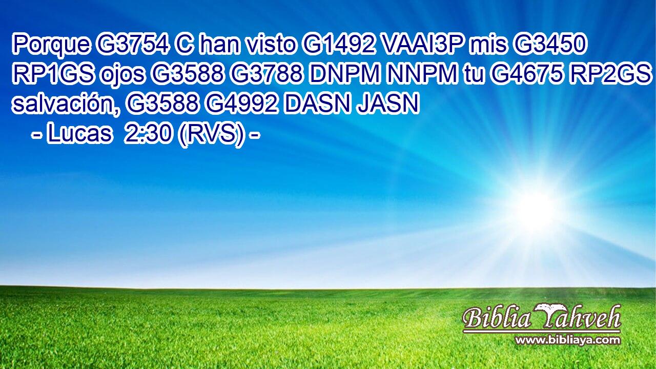 Porque G3754 C han visto G1492 VAAI3P mis G3450 RP1GS ojos G3588 G3788 DNPM NNPM tu G4675 RP2GS salvación, G3588 G4992 DASN JASN 