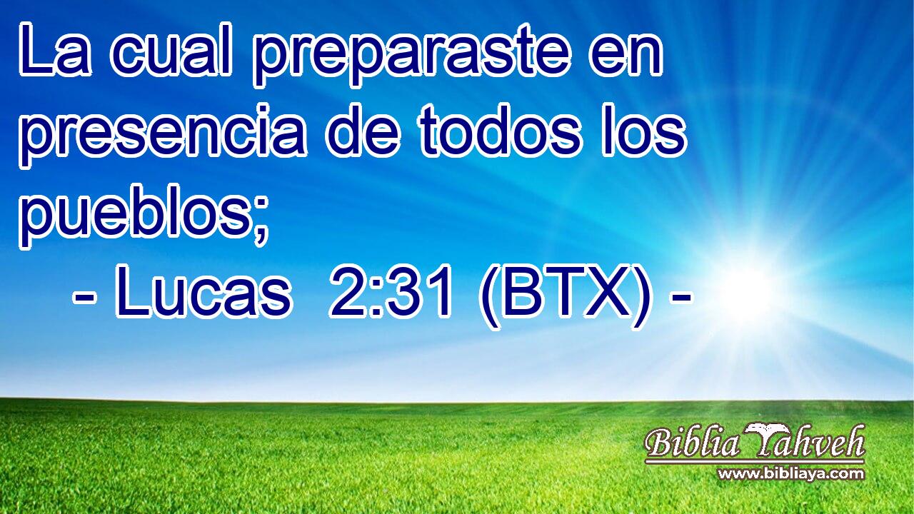 La cual preparaste en presencia de todos los pueblos;