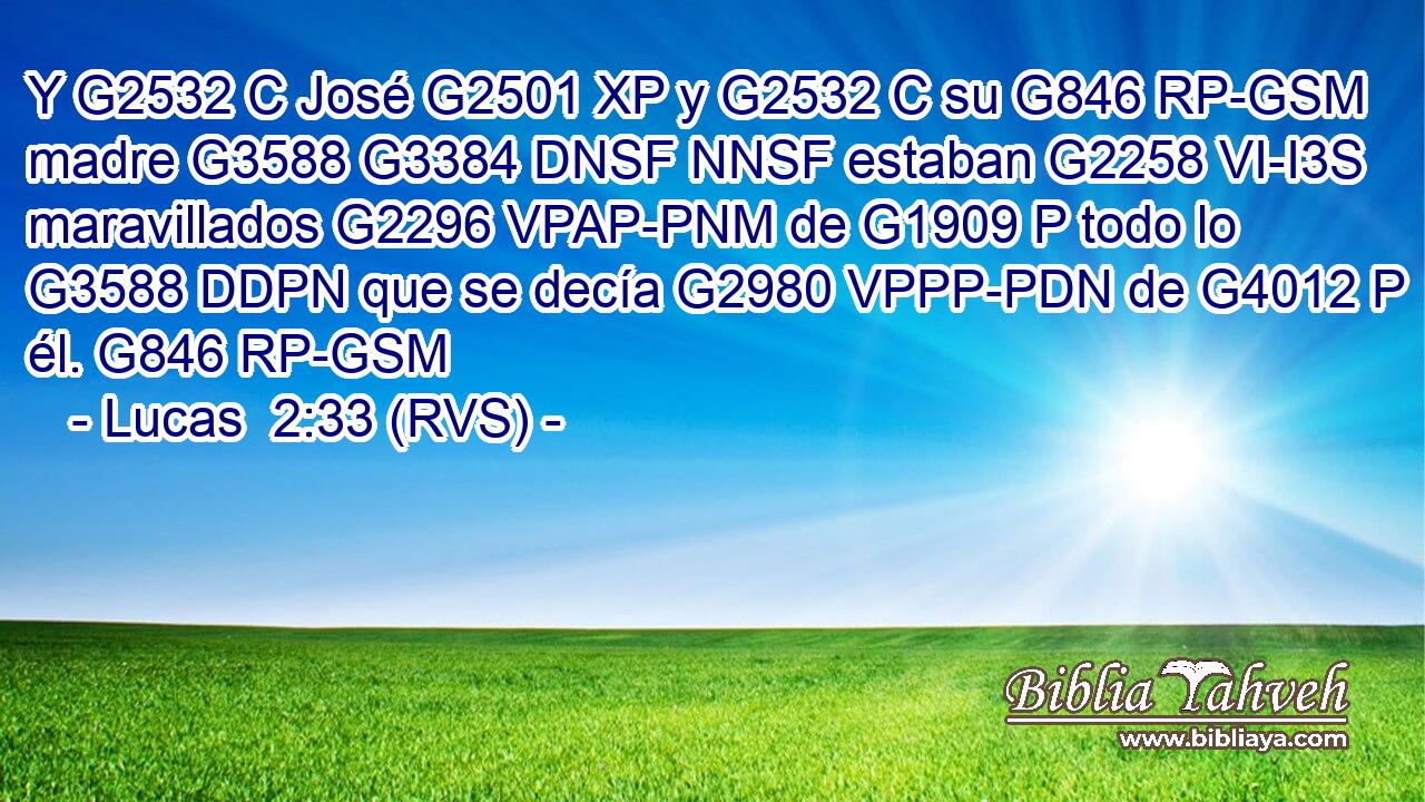 Y G2532 C José G2501 XP y G2532 C su G846 RP-GSM madre G3588 G3384 DNSF NNSF estaban G2258 VI-I3S maravillados G2296 VPAP-PNM de G1909 P todo lo G3588 DDPN que se decía G2980 VPPP-PDN de G4012 P él. G846 RP-GSM 