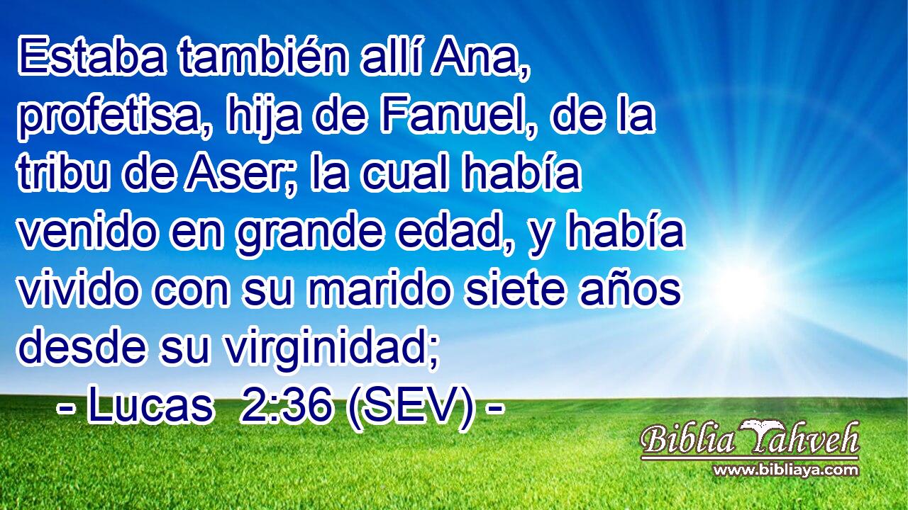 Estaba también allí Ana, profetisa, hija de Fanuel, de la tribu de Aser; la cual había venido en grande edad, y había vivido con su marido siete años desde su virginidad;