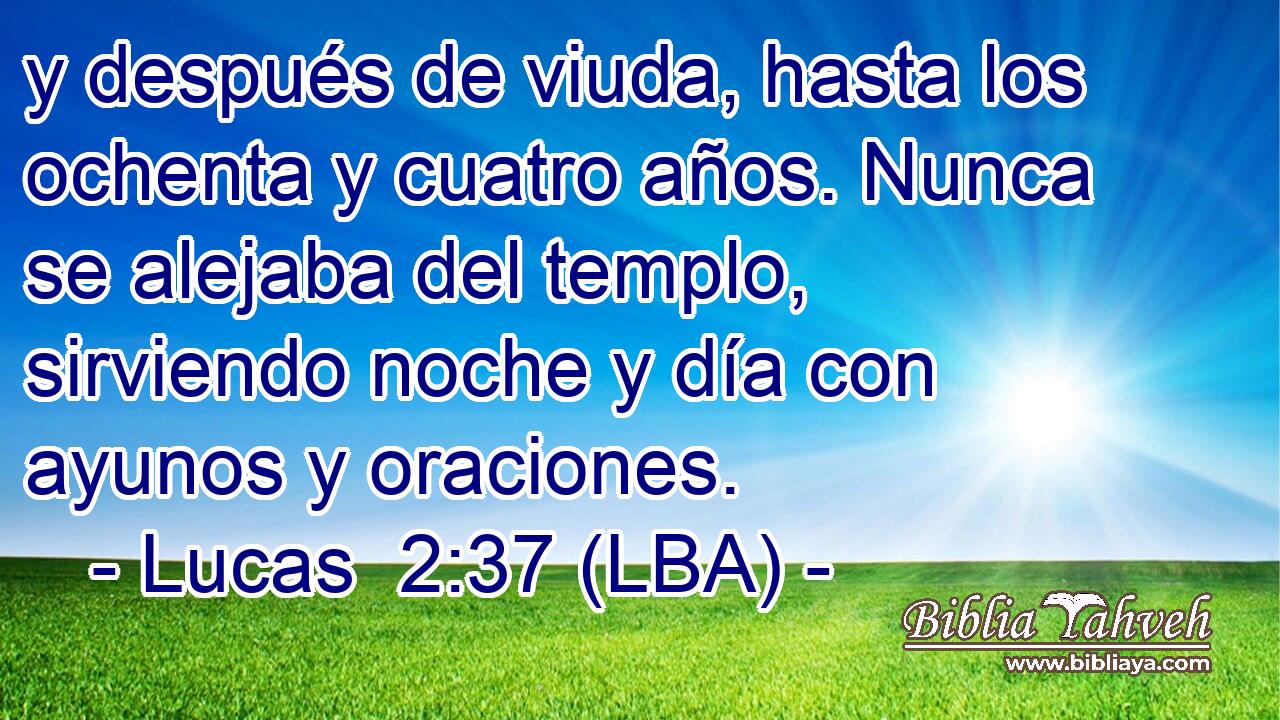 y después de viuda, hasta los ochenta y cuatro años. Nunca se alejaba del templo, sirviendo noche y día con ayunos y oraciones.