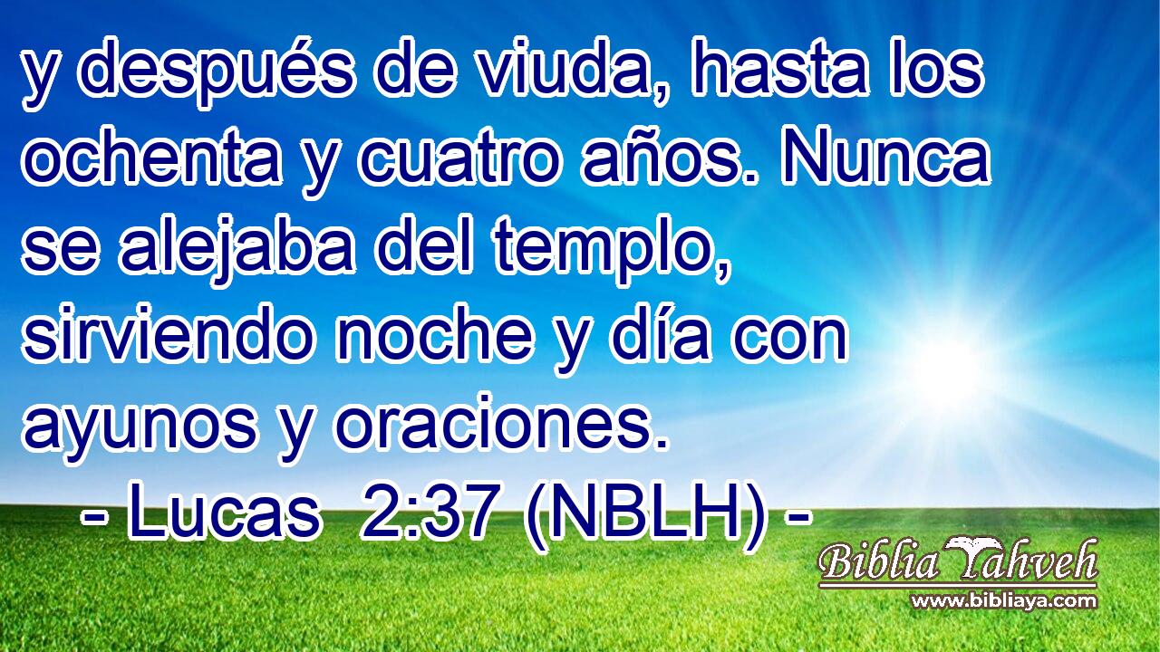 y después de viuda, hasta los ochenta y cuatro años. Nunca se alejaba del templo, sirviendo noche y día con ayunos y oraciones. 