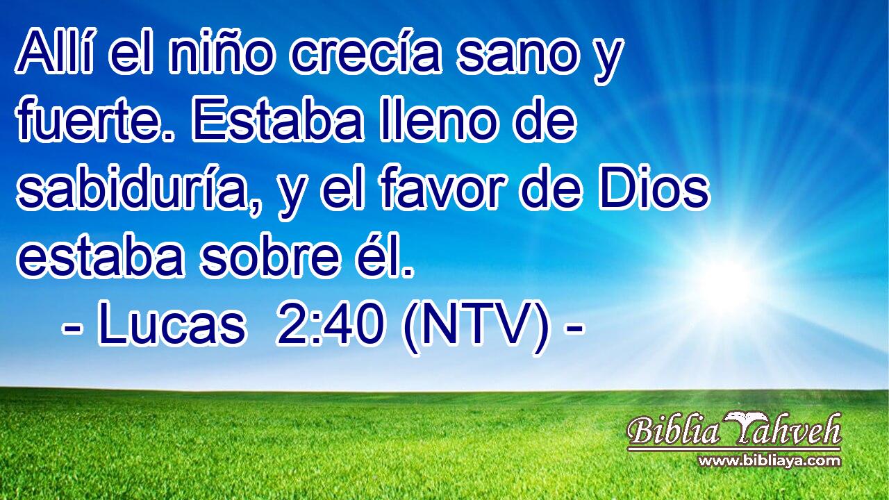 Allí el niño crecía sano y fuerte. Estaba lleno de sabiduría, y el favor de Dios estaba sobre él.