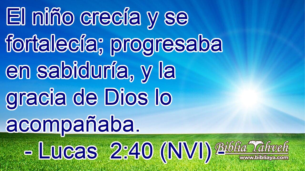  El niño crecía y se fortalecía; progresaba en sabiduría, y la gracia de Dios lo acompañaba. 