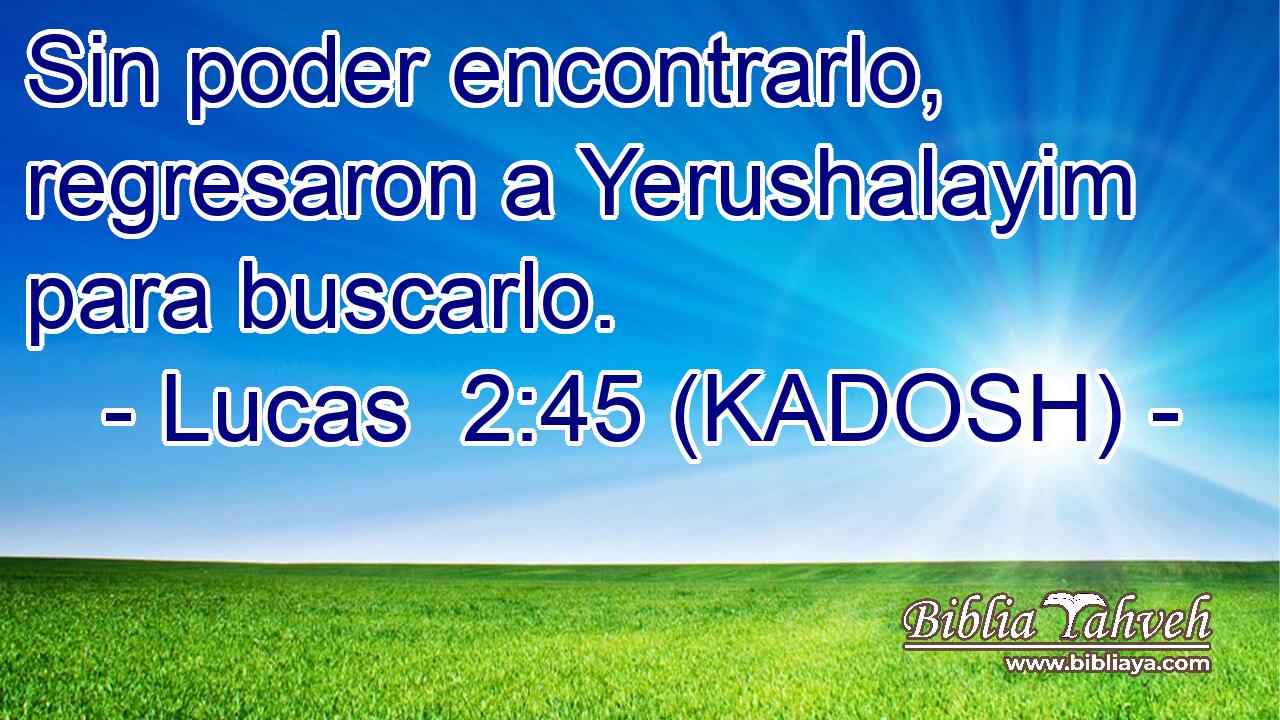  Sin poder encontrarlo, regresaron a Yerushalayim para buscarlo. 