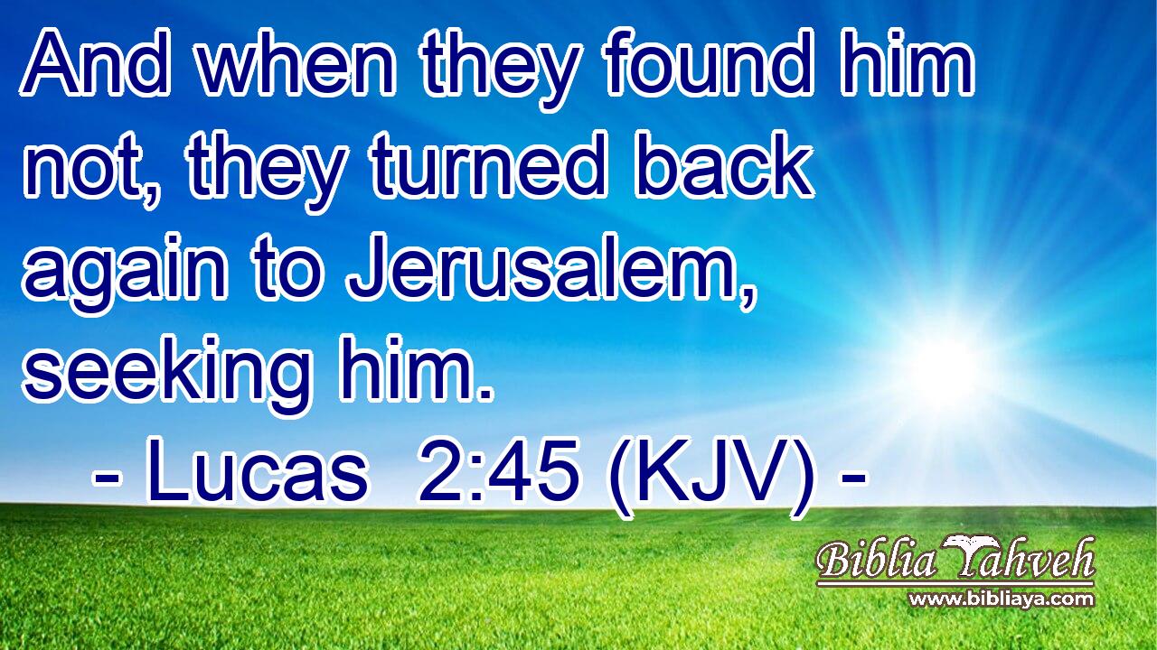 And when they found him not, they turned back again to Jerusalem, seeking him.