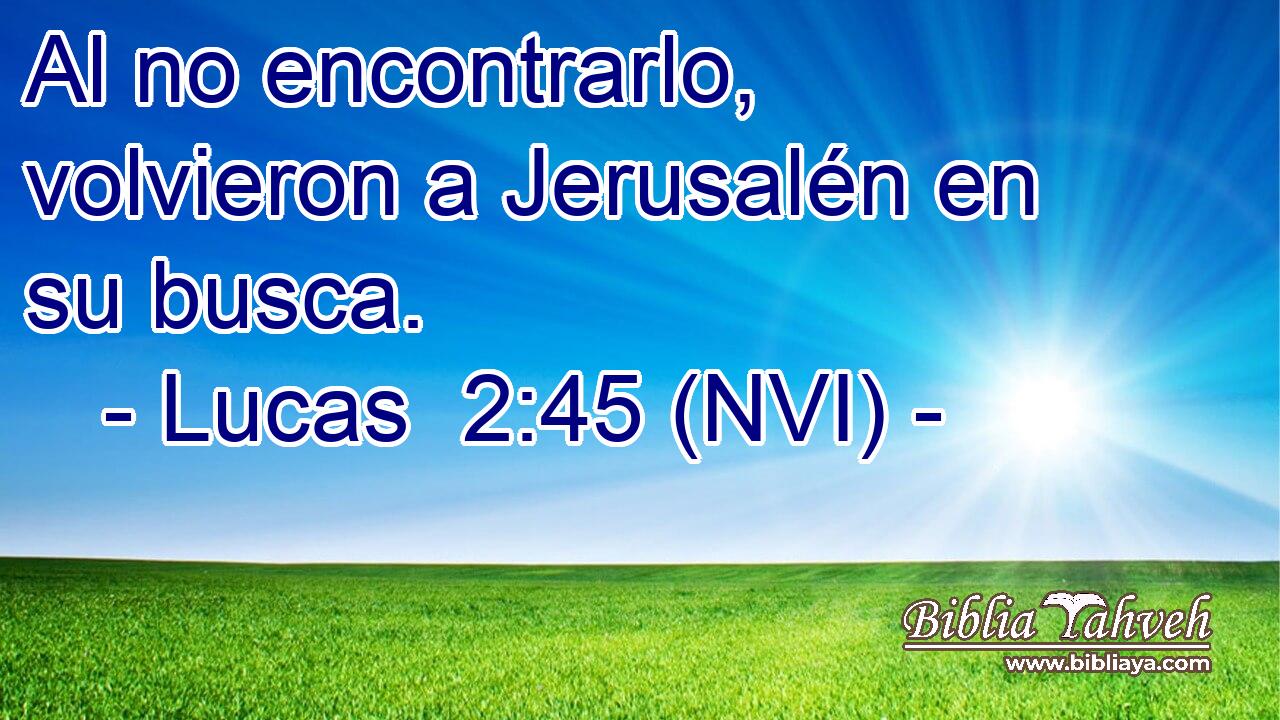  Al no encontrarlo, volvieron a Jerusalén en su busca. 