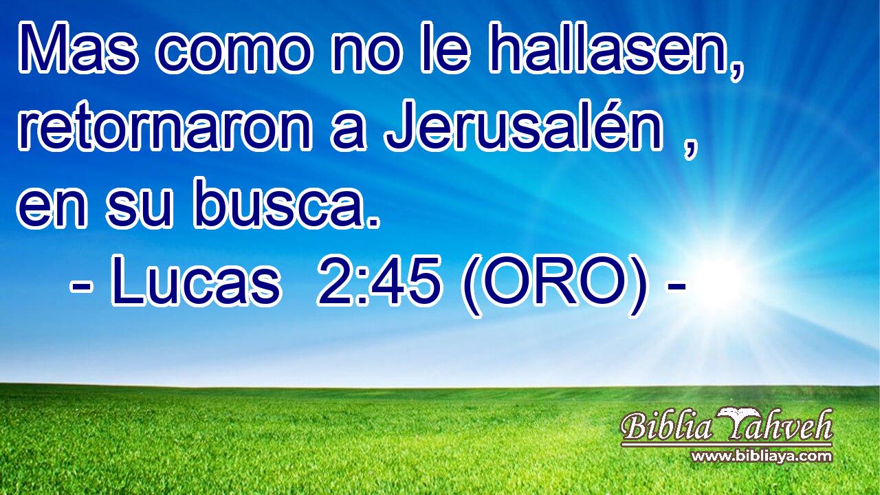  Mas como no le hallasen, retornaron a Jerusalén , en su busca. 