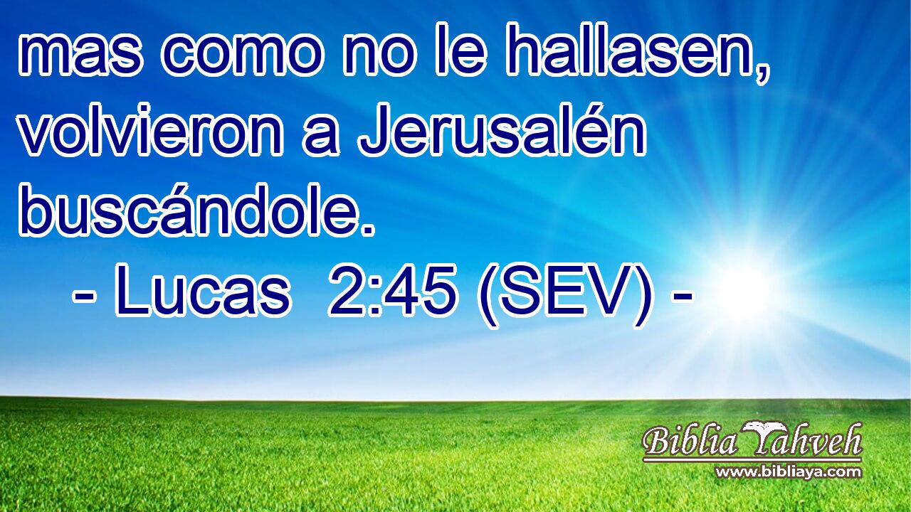 mas como no le hallasen, volvieron a Jerusalén buscándole.