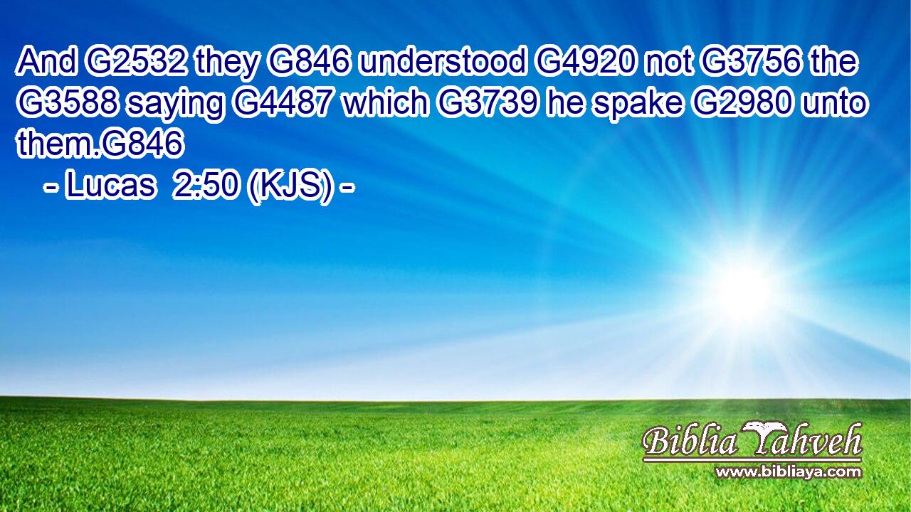 And G2532 they G846 understood G4920 not G3756 the G3588 saying G4487 which G3739 he spake G2980 unto them.G846