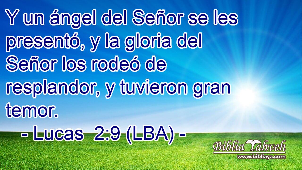 Y un ángel del Señor se les presentó, y la gloria del Señor los rodeó de resplandor, y tuvieron gran temor.