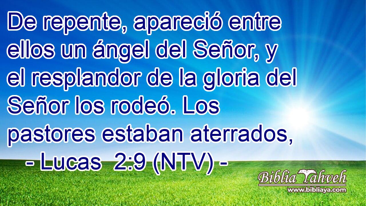 De repente, apareció entre ellos un ángel del Señor, y el resplandor de la gloria del Señor los rodeó. Los pastores estaban aterrados,
