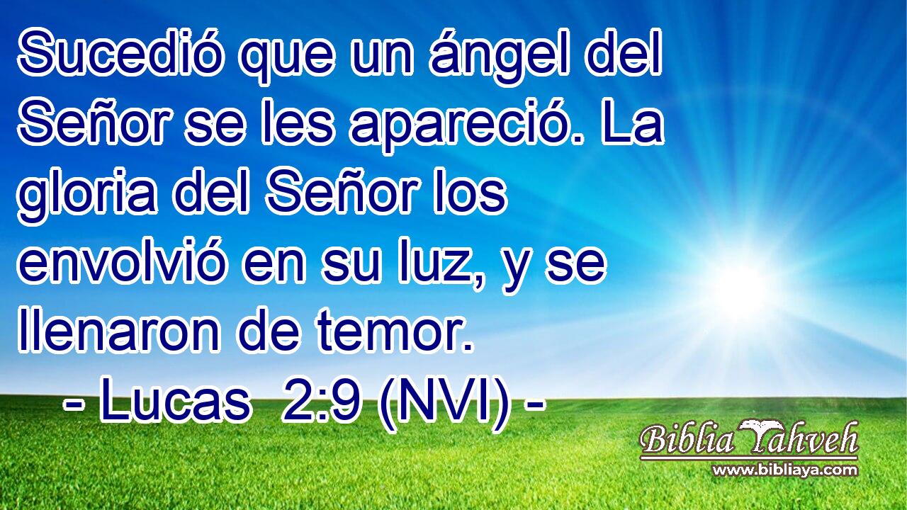  Sucedió que un ángel del Señor se les apareció. La gloria del Señor los envolvió en su luz, y se llenaron de temor. 