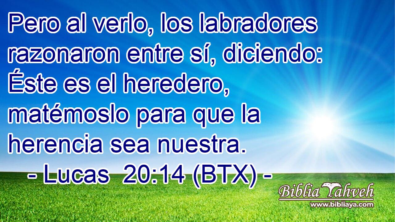 Pero al verlo, los labradores razonaron entre sí, diciendo: Éste es el heredero, matémoslo para que la herencia sea nuestra.