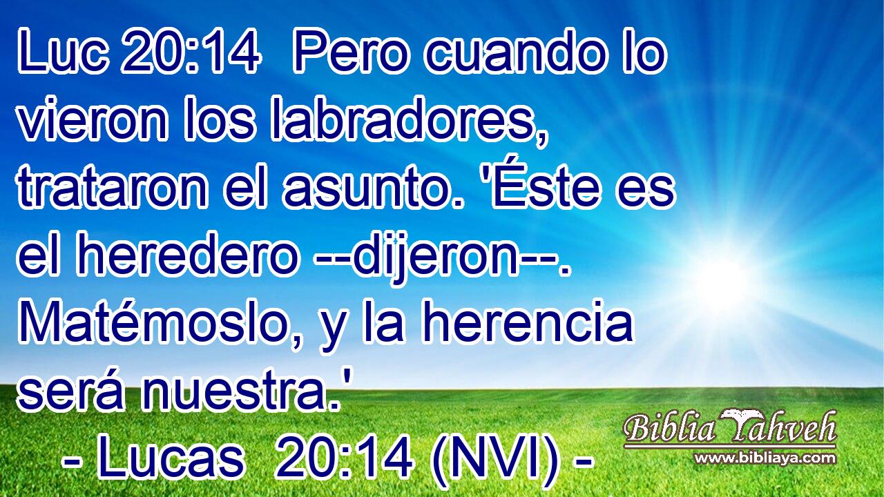 Luc 20:14  Pero cuando lo vieron los labradores, trataron el asunto. 'Éste es el heredero --dijeron--. Matémoslo, y la herencia será nuestra.' 