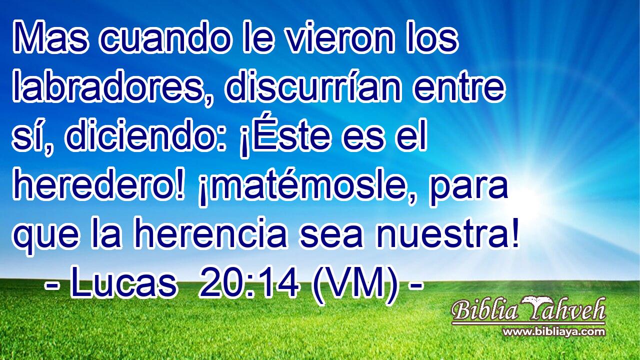  Mas cuando le vieron los labradores, discurrían entre sí, diciendo: ¡Éste es el heredero! ¡matémosle, para que la herencia sea nuestra! 