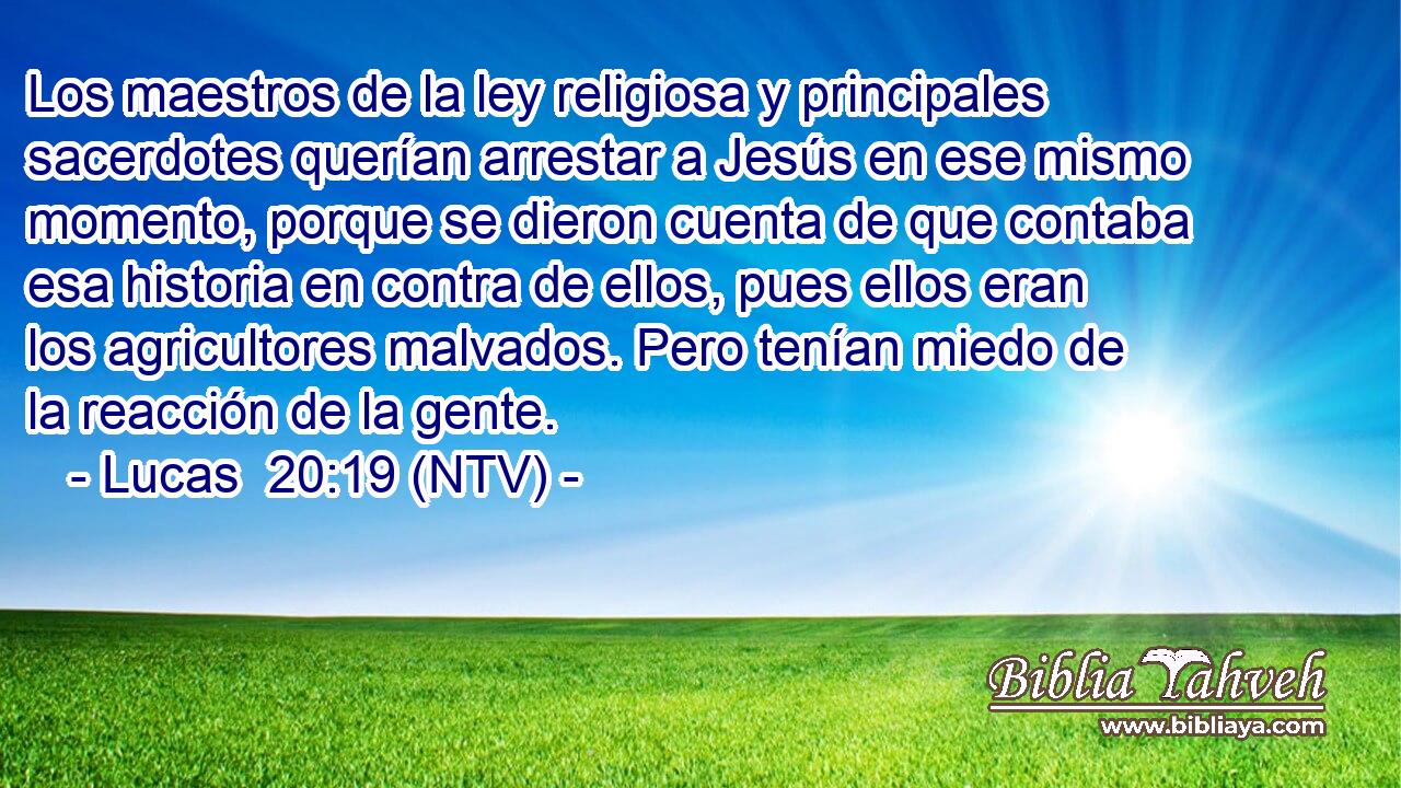 Los maestros de la ley religiosa y principales sacerdotes querían arrestar a Jesús en ese mismo momento, porque se dieron cuenta de que contaba esa historia en contra de ellos, pues ellos eran los agricultores malvados. Pero tenían miedo de la reacción de la gente.