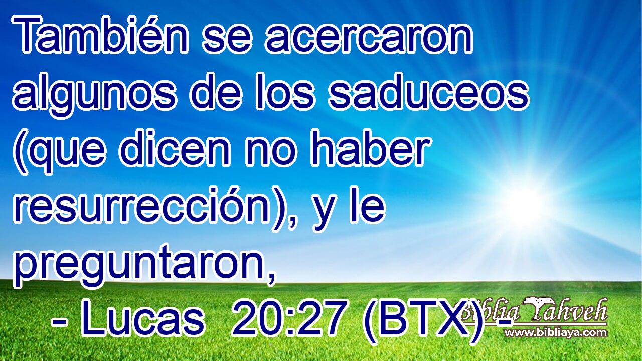 También se acercaron algunos de los saduceos (que dicen no haber resurrección), y le preguntaron,