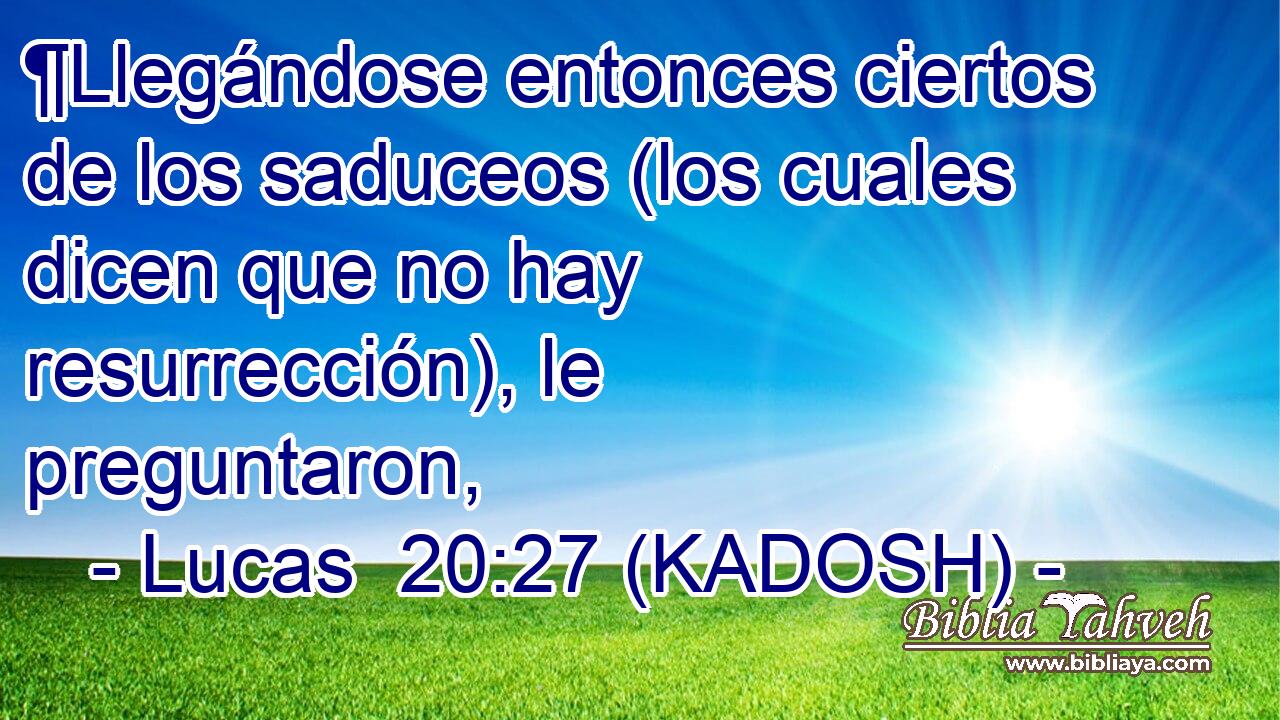 ¶Llegándose entonces ciertos de los saduceos (los cuales dicen que no hay resurrección), le preguntaron, 