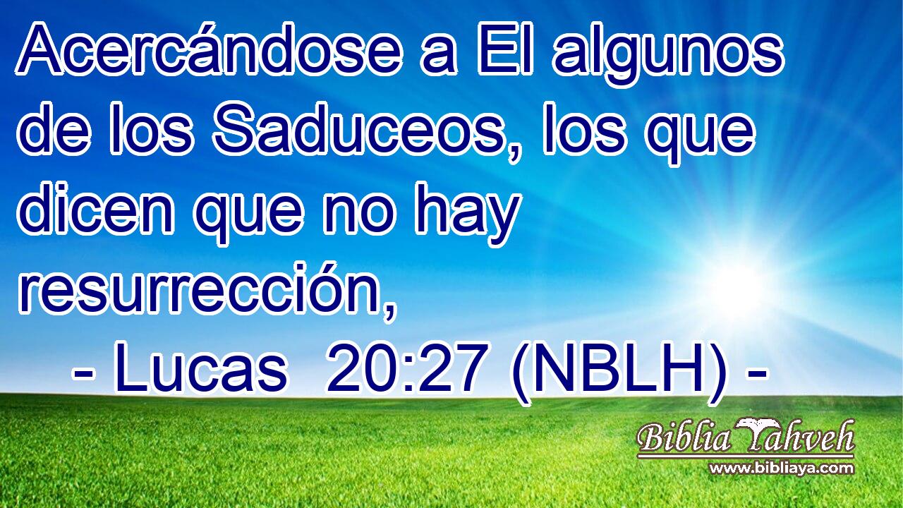  Acercándose a El algunos de los Saduceos, los que dicen que no hay resurrección, 