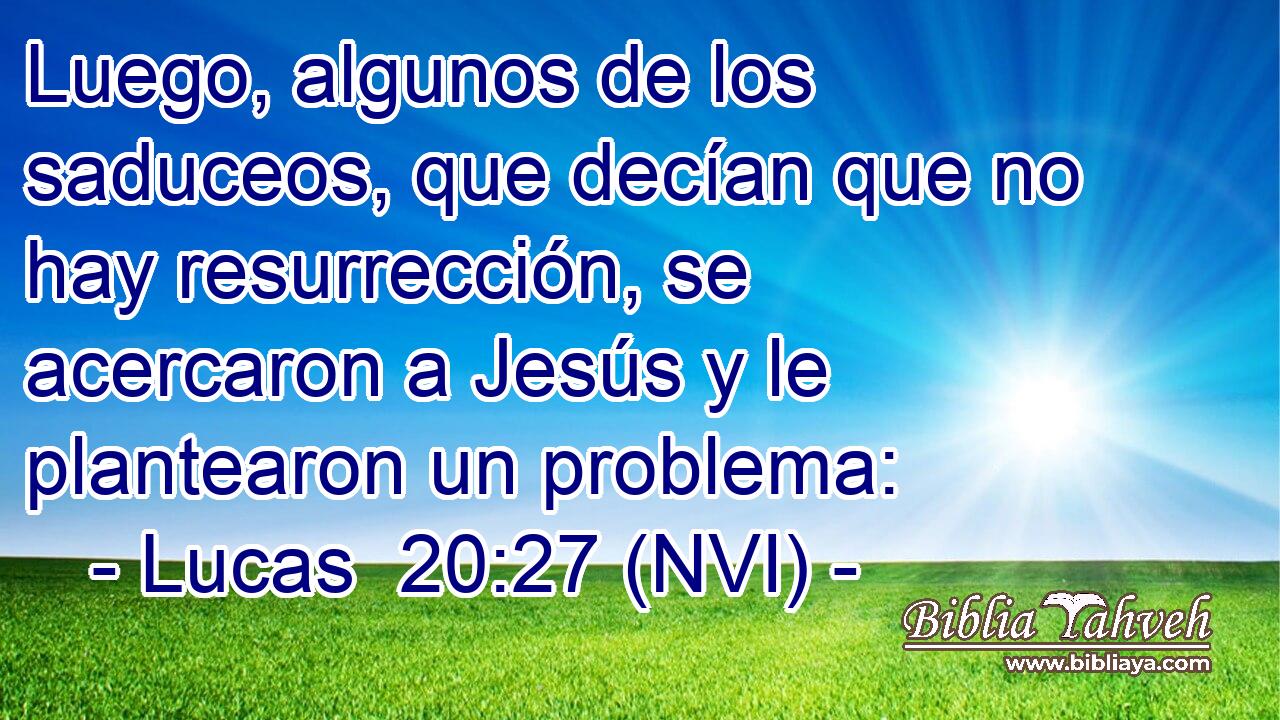  Luego, algunos de los saduceos, que decían que no hay resurrección, se acercaron a Jesús y le plantearon un problema: 